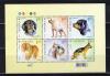 Почтовые марки. Украина. 2008г. Собаки. Блок №66. 2008г