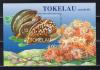 Почтовые марки. Токелау. 1996г. Ракушки. Кораллы. Блок №9. 1996г