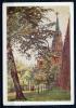 Почтовая карточка. СССР 1957 г. Москва. Кремль. 1957г