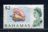 Почтовые марки. Багамы. 1967г. Ракушки. №270. (Кат. Mi: 25.00 Евро) 1967г