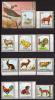 Почтовые марки Фуджайра. 1972. Домашние животные. Блок №131. №1295-1304. 1972г