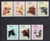 Почтовые марки. Куба. 1973г. Фауна. Коровы. №1879-1885. (см.состояние) 1973г