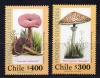 Почтовые марки. Чили, 2001 г. Грибы. MiNr. 2024 - 2025. 2001г