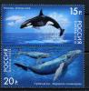 Почтовые марки. Россия. 2012 г. № 1556-1557. Фауна. Киты. 2012г