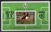 Почтовые марки. Парагвай. 1979г. Футбол. Блок №343. 1979г