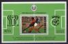 Почтовые марки. Парагвай. 1979г. Футбол. Блок №343. MUESTRA. 1979г