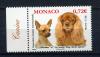 Почтовые марки. Монако 2009 г. Собаки. Всемирная выстака в Монте-Карло. № 2925. 2009г