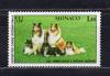 Почтовые марки. Монако, 1981 г. Международная выставка собак, Монте-Карло. №1480. 1981г