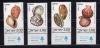 Почтовые марки. Израиль, 1977 г. №726-729. Ракушки. 1977г