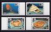 Почтовые марки. Новая Каледония. 1996г. Морская Флора и Фауна. Ракушки. №1066-1069. 1996г