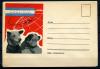 Немаркированный конверт. СССР 1960 г. Космонавты Белка и Стрелка . КО 1960г