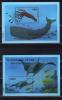 Почтовые марки. Палау. 2000г. Рыбы. Блок №117-118. 2000г