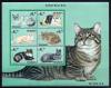 Почтовые марки. Никарагуа. 2000г. Кошки. №4116-4121. МЛ. 2000г