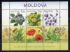 Почтовые марки. Молдова, 2009 г. Флора. Цветы. Бл. 47. 2009г