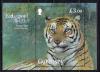 Почтовые марки. Гернси, 2012 г. Бенгальский тигр. Бл. 58. 2012г