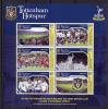 Почтовые марки. Гренада, 2002 г. Брит. Футбол. Тоттенхэм. МЛ. №5059-5064. 2002г