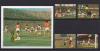 Почтовые марки. Сент-Люсия, 1982 г. Футбол. №573-576, Бл. 33. 1982г