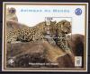 Почтовые марки. Нигер, 1998 г. Леопарды. Бл. 109. 1998г