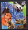 Почтовые марки. Беларусь, 2004 г. Кошки. Бл. 43 2004г
