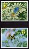 Почтовые марки. Гана. 1999г. Бабочки. Блок №375-376. 1999г