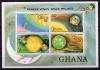 Почтовые марки. Гана. 1979г. Космос. Блок №79. 1979г