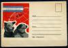 Немаркированный конверт. СССР 1960 г. Космонавты Белка и Стрелка . КО 1960г