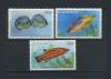Почтовые марки. Багамы. 1990. № 622xv, 625xv, 629xv. Рыбы. 1990г