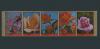 Почтовые марки. Аджман. 1972 г. № 2078-2082В. Цветы. Беззубц. 1972г