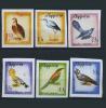 Почтовые марки. Албания. 1965 г. № 973-978В. Птицы. 1965г