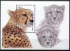 Почтовые марки. Ангола. 2000. Фауна. Леопард. № Бл. 76. 2000г
