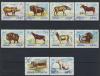 Почтовые марки. Оман. 1972 г. Дикие животные. 1972г
