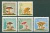 Почтовые марки СССР 1964 г Грибы № 3123-3127 1964г