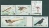 Почтовые марки Западная Сахара 1990 г Птицы 1990г