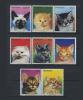 Почтовые марки. Парагвай. 1984 г. № 3811-17. Кошки 1984г