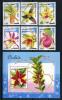 Почтовые марки. Афганистан. 1999 г. № 1916-21,В1 115. Орхидеи. Цветы. 1999г