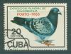 Почтовые марки Куба 1985 г Международная выставка голубей № 2910 1985г