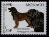 Почтовые марки. Монако. 2001 г. Собаки. № 2548. 2001г