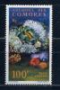 Почтовые марки. Коморы. 1962г. Морская жизнь. №50. 1962г