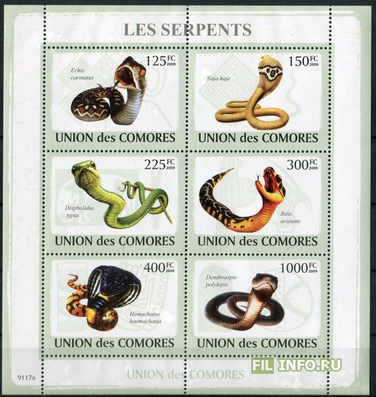 Змеи Коморских островов сцепка