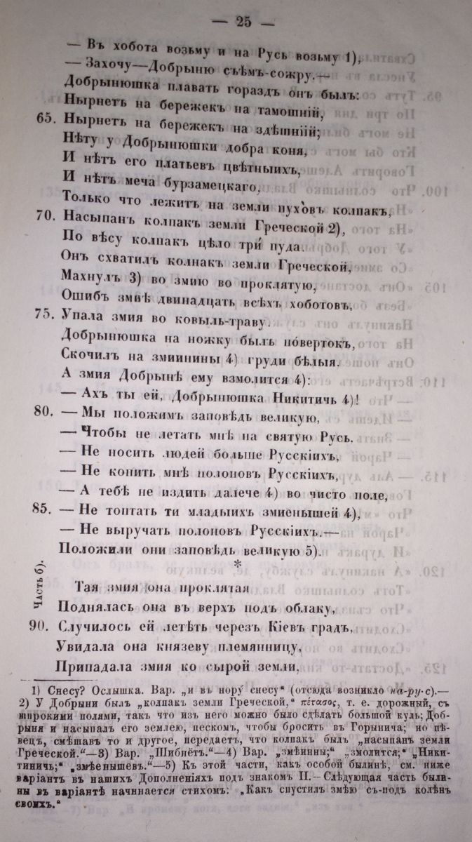 Добрыня 25